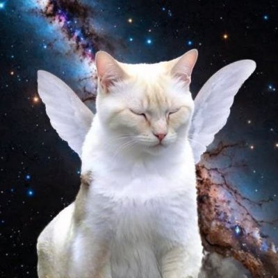 manifest