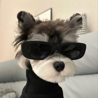 冲狗小霸王