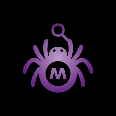 MemeCoinTracker (MCT)