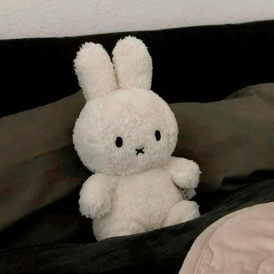 Miffy_sol