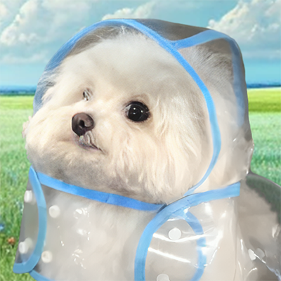 Coat Dog