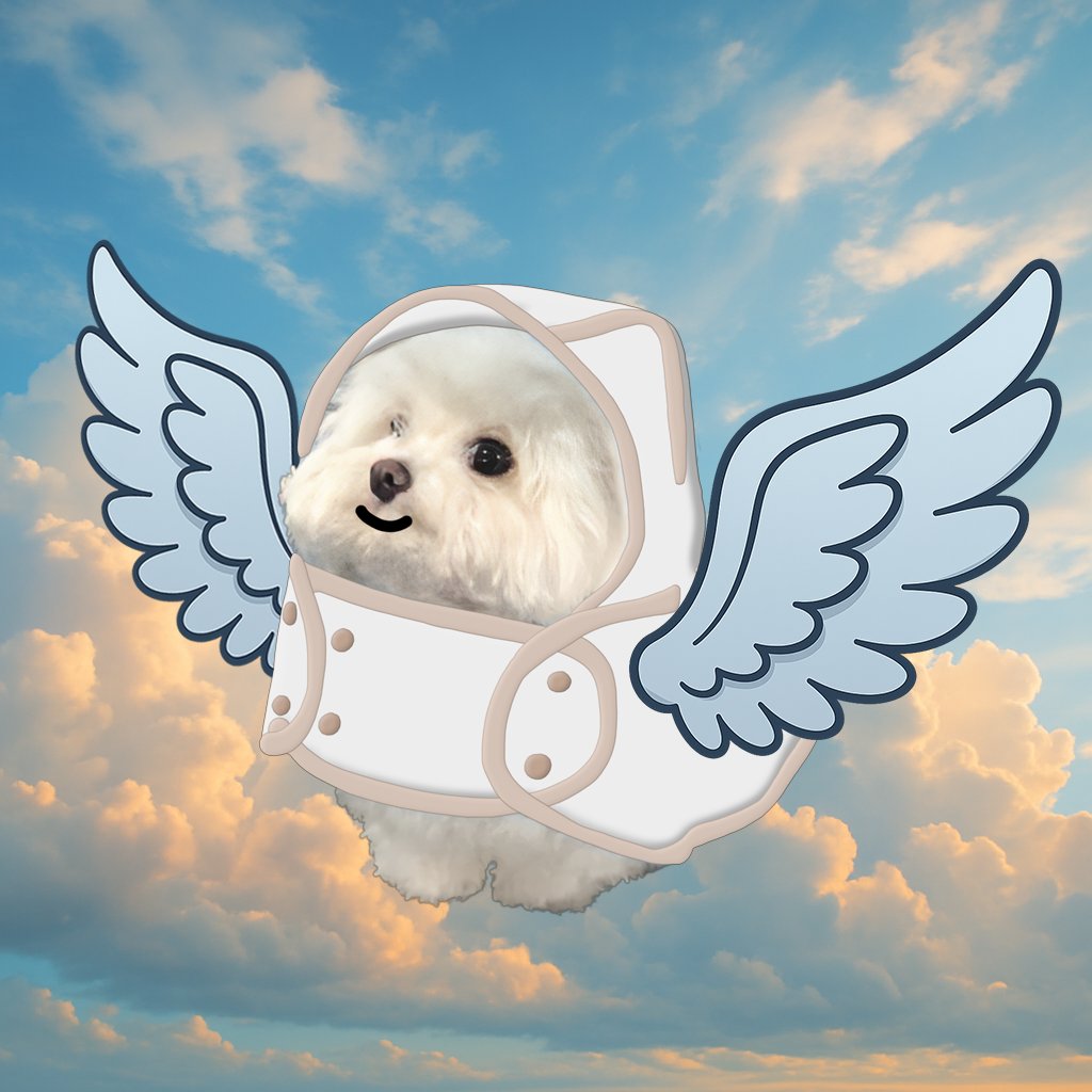 Mention image