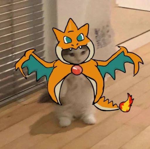 Mention image