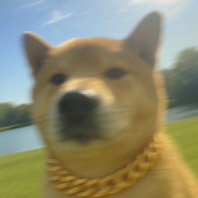 CRYPTO-句跃（金）