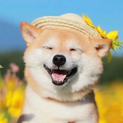 弓月