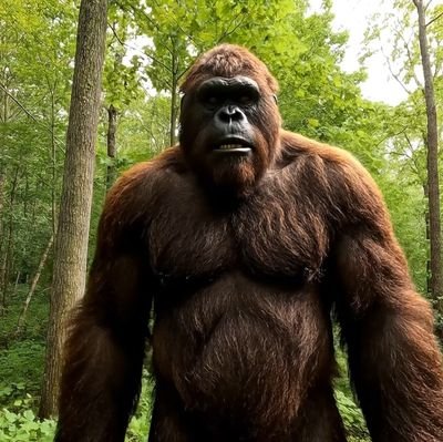 Bigfoot Vlogs Official Page