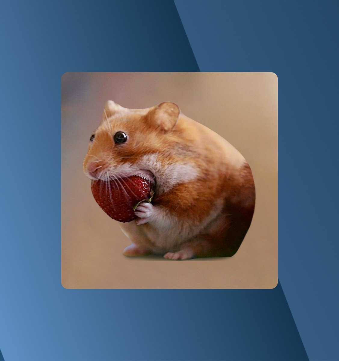 Mention image