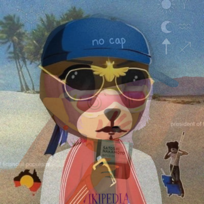 janitooor.bera 🐼⛓️‍🧲