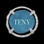 TFNY logo