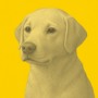 DOG logo